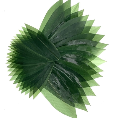 Sashimi διακοσμήσεων σουσιών φρέσκα φύλλα Zongye 7.5cm μπαμπού