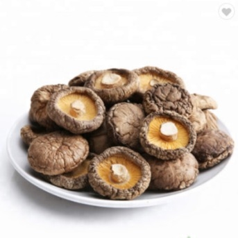 Υγιής ξηρά ομαλή επιφάνεια μανιταριών 1kg Shiitake 2 έτη ζωής του προϊόντος στο ράφι