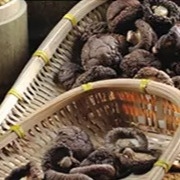 Υγιής ξηρά ομαλή επιφάνεια μανιταριών 1kg Shiitake 2 έτη ζωής του προϊόντος στο ράφι