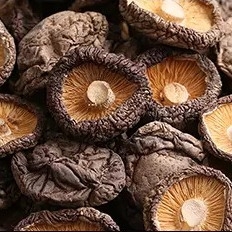 Υγιής ξηρά ομαλή επιφάνεια μανιταριών 1kg Shiitake 2 έτη ζωής του προϊόντος στο ράφι