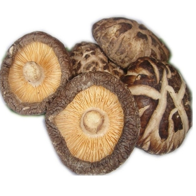 HACCP 1kg 3kg ξεραίνει το μανιτάρι ιαπωνικά Shiitake με το καλό γούστο