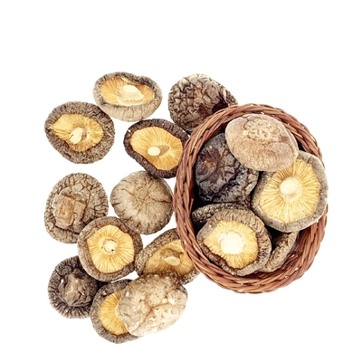 HACCP 1kg 3kg ξεραίνει το μανιτάρι ιαπωνικά Shiitake με το καλό γούστο