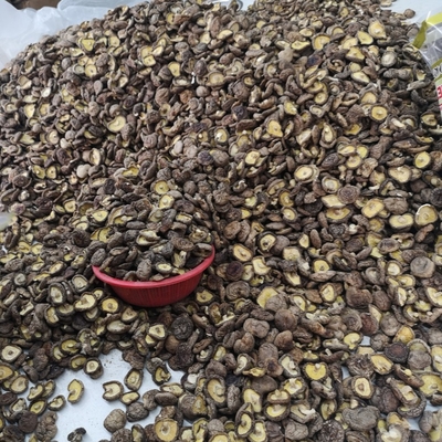 Φυσικά μαζικά ξηρά Shiitake μανιτάρια Shiitake μανιταριών ξηρά οργανικά
