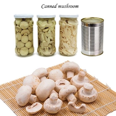 Champignon κονσερβοποιημένες μανιτάρι φέτες μανιταριών Champing λαχανικών φρούτων